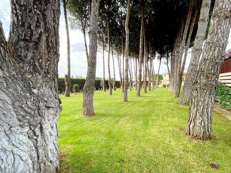 Villa Laoconte Piscina, Jacuzzi E Biliardo Canicattì Екстериор снимка