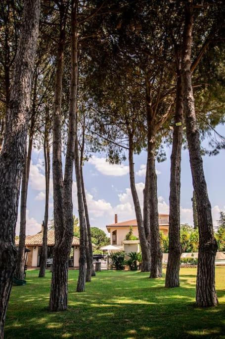 Villa Laoconte Piscina, Jacuzzi E Biliardo Canicattì Екстериор снимка